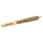Orange Cream 1 Pack Infused Pre Rolls 1 Gram