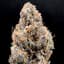 Black Sesame Buds 3.50 Gram