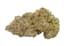 Coffee Creamer Buds 3.50 Gram