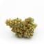 9 Lb Hammer Buds 14 Gram