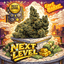 Next Level Buds 3.50 Gram