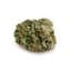 Pink Kush Buds 28 Gram