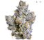 Whole Fruits Buds 3.50 Gram
