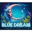 Blue Dream Buds 28 Gram