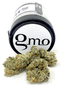 Gmo Buds 3.50 Gram
