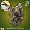 Larry's Breath 1 Pack Pre Rolls 1 Gram
