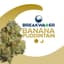 Banana Puddintain Buds 7 Gram