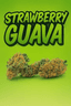 Strawberry Guava Buds 7 Gram