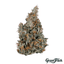 Purple Palm Tree Delight Buds 28 Gram