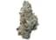 Grape Ape Buds 14 Gram