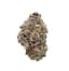 Blueberry Fuego Buds 3.50 Gram