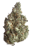 Spritzer Buds 7 Gram