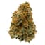 Sage N Sour Buds 14 Gram