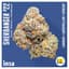 Sherbanger Buds 14 Gram