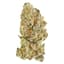 Platinum Pave Buds 7 Gram