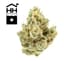 Sour Tangie Buds 3.50 Gram