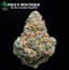 Presidential Runtz Buds 3.50 Gram