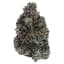 Dark Rainbow Buds 14 Gram