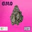 Gmo Buds 2.83 Gram