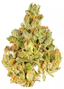 Tropsanto #5 3.50 Gram Flower