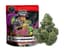 Smoken Promises Buds 3.50 Gram
