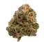 Garlic Truffle Buds 7 Gram