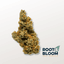 Lemonhead Delight Buds 3.50 Gram