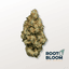 Ghost Dawg Buds 3.50 Gram