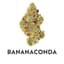 Bananaconda Flower Gram 3.50