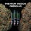 Gabana 1 Pack Pre Rolls 1 Gram