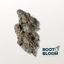 Tricheratrops Buds 28 Gram