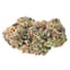 Jealousy Buds 14 Gram