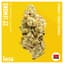 Lemons Buds 3.50 Gram