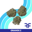 Orange Z Whole Flower Gram 3.50