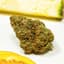 Chemmy Jones Buds 3.50 Gram