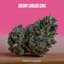 Cherry Limeade Cake Buds 3.50 Gram