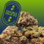 Double Deja Vu Buds 7 Gram