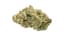 Exotic Gas Buds 28 Gram