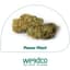 Power Plant Buds 14 Gram