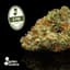 Z Pie Buds 3.50 Gram