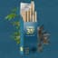 Afternoon Delight 10 Pack Pre Rolls 3.50 Gram