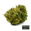 Black Tuna Buds 3.50 Gram