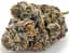 Stinky Blanco Buds 3.50 Gram