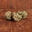 Orange Chemeleon Buds 28 Gram