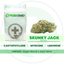 Skunky Jack Buds 14 Gram