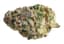 Mac 1 Buds 28 Gram
