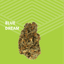 Blue Dream Buds 7 Gram
