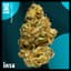 Gmo Buds 28 Gram