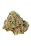 Gary Payton Buds 28 Gram
