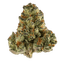 Gas Basket Buds 3.50 Gram